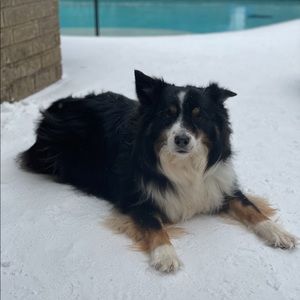 Meet your Posher, Ian